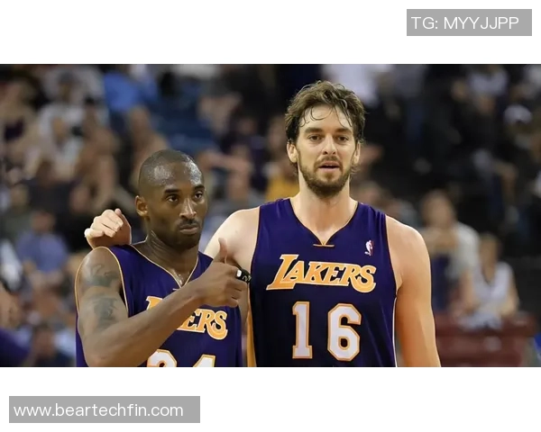 探索ZWS篮球明星的传奇之路与辉煌成就揭秘篮球背后的故事与梦想