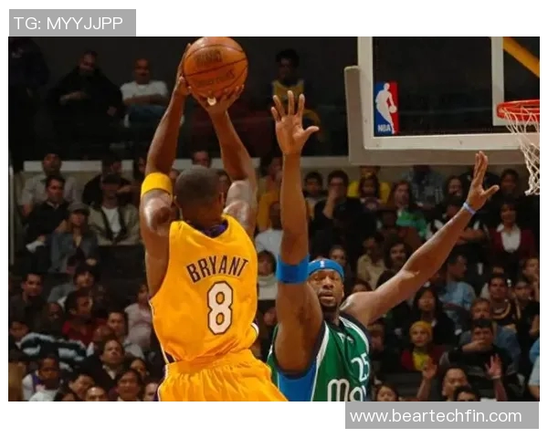 篮球明星与篮筐的传奇故事揭示了运动背后的坚持与梦想